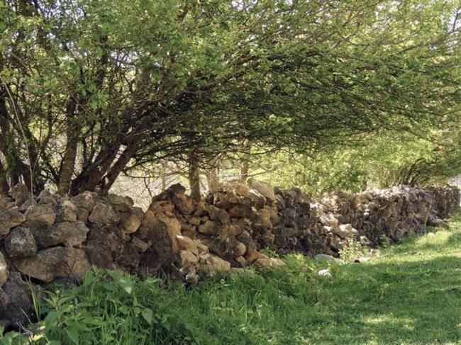 روستای کروچ وشرودان روستای کروچ وشرودان