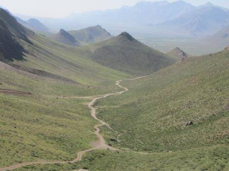 روستای دره بید