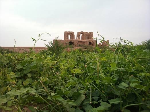 روستای فمی