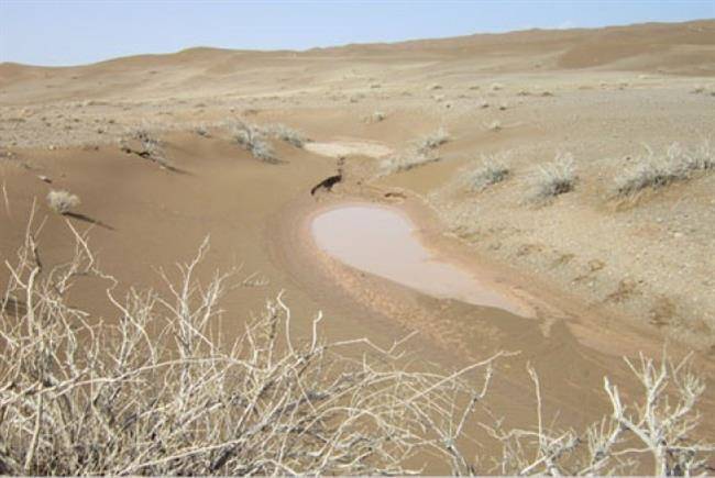 کویر مغستان