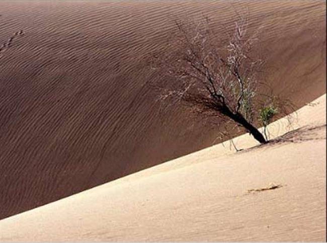 کویر مغستان