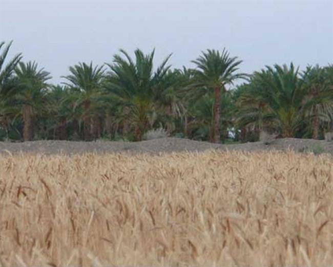 روستای آبادان ( ایرانشهر )