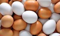 ماندگاری یا تاریخ مصرف تخم مرغ - 2