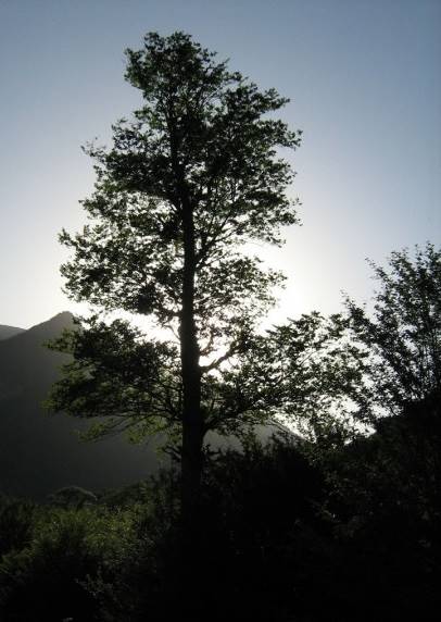 روستای قرن آباد