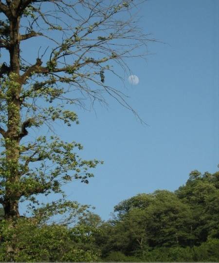 روستای قرن آباد