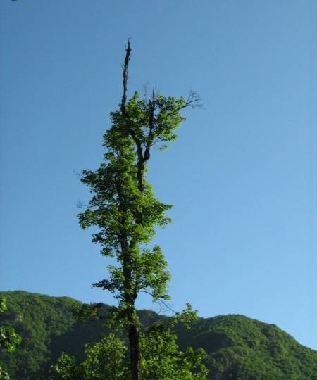 روستای قرن آباد