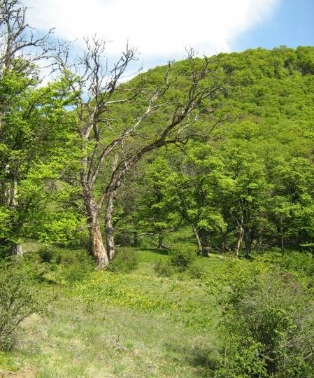 روستای قرن آباد