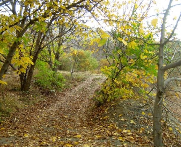 روستای نران