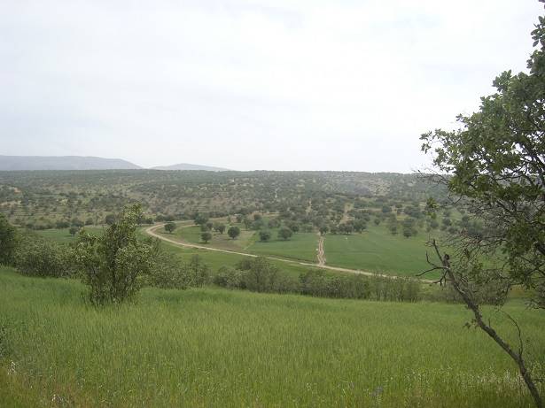 روستای گدمه