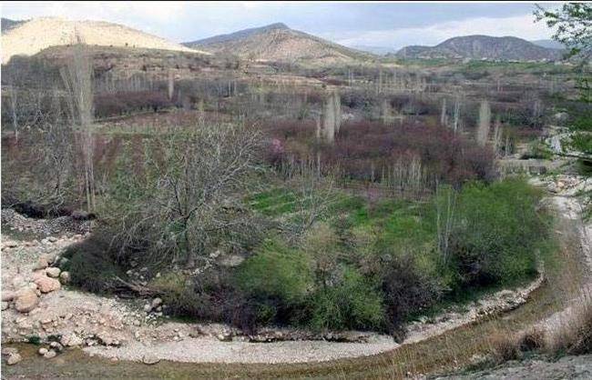 روستای حیدرآباد