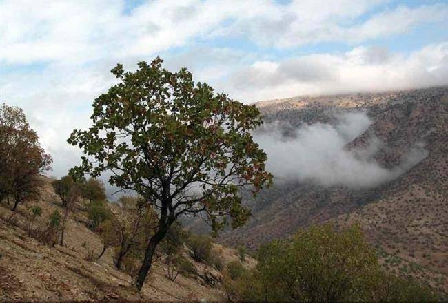 روستای زنجیره