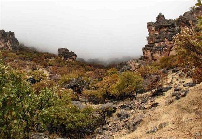 روستای زنجیره