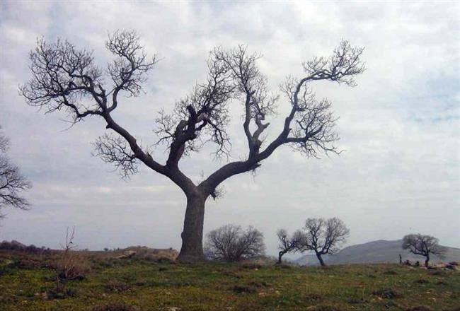 روستای زنجیره