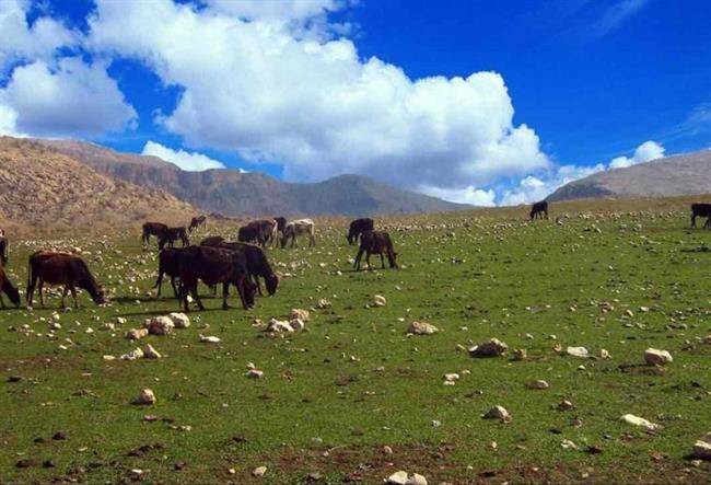 روستای زنجیره