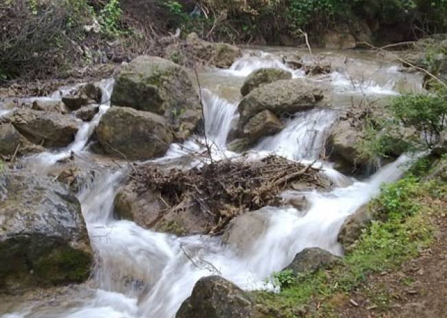 روستای آکرد