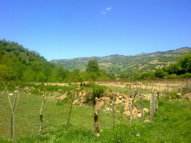 روستای سوچلما