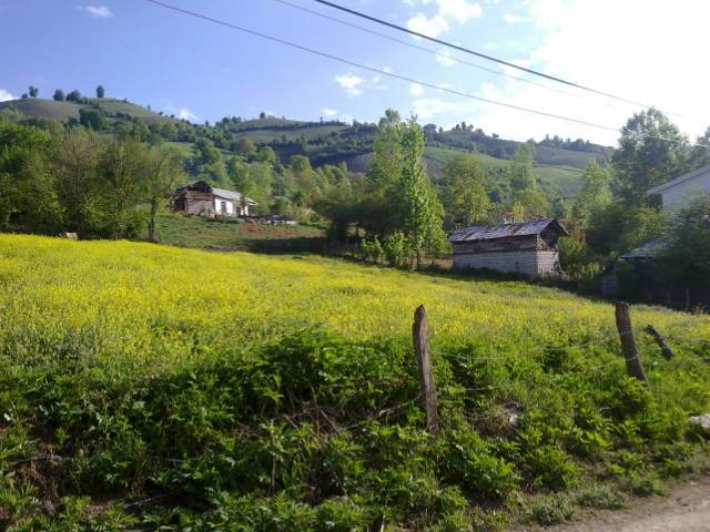 روستای سوچلما