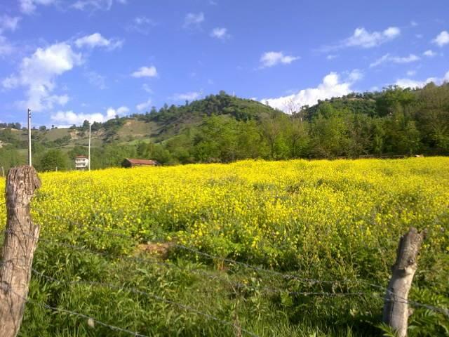 روستای سوچلما