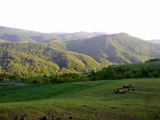 روستای سوچلما