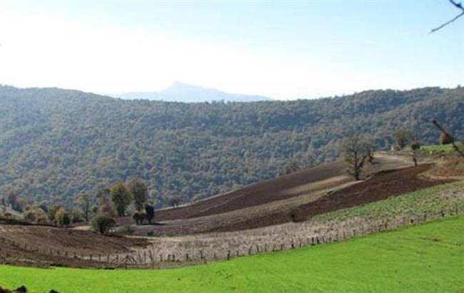 روستای چاچکام