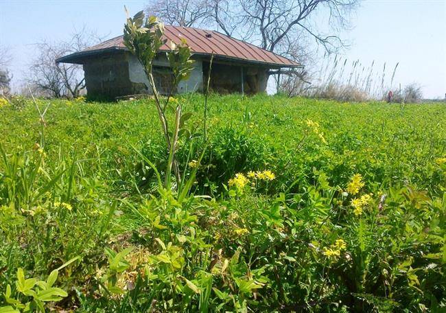 روستای گالشکلا