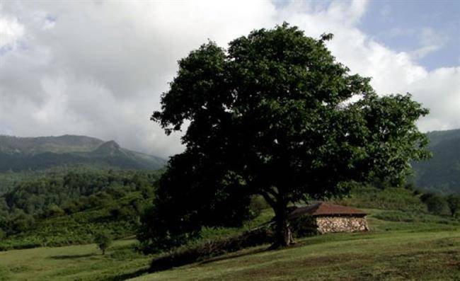 روستای سنگ چال