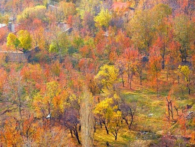 روستای افجه تهران