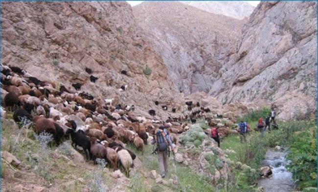 روستای لزور