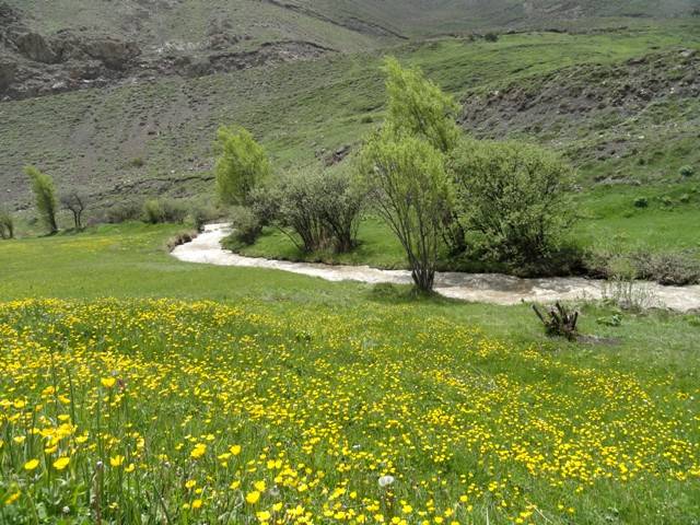 روستای نج بلده