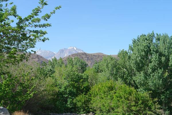 روستای تمین