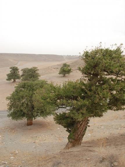 روستای گهوار گر