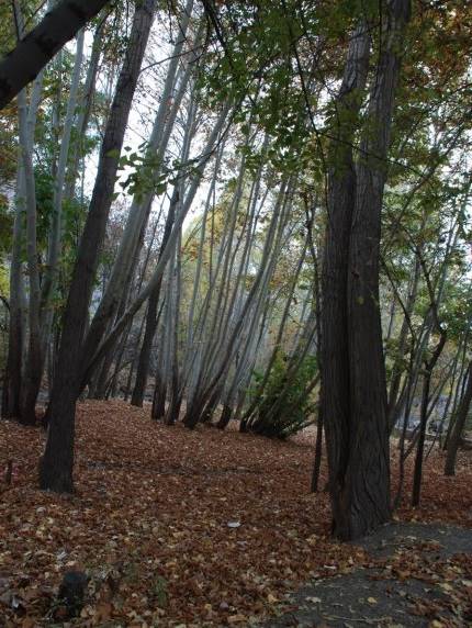 روستای گهوار گر