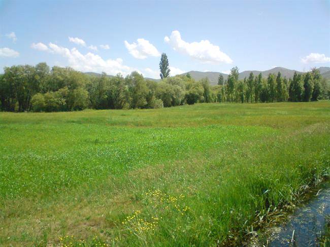 روستای سیس