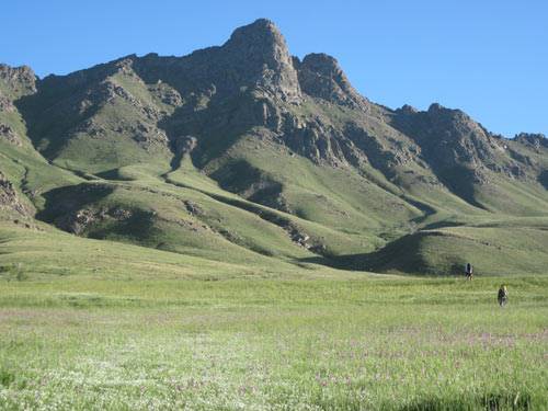 روستای لاله ای