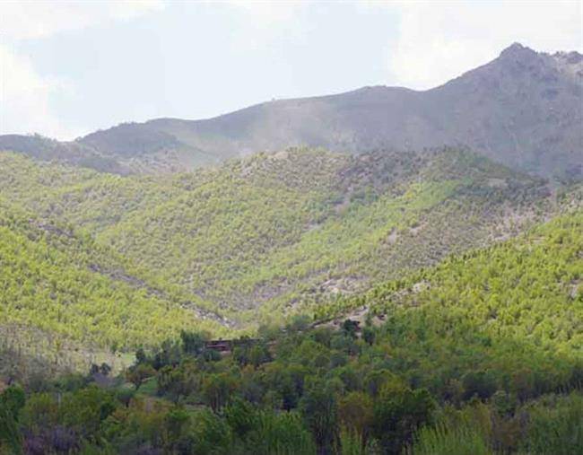 روستای آرندان