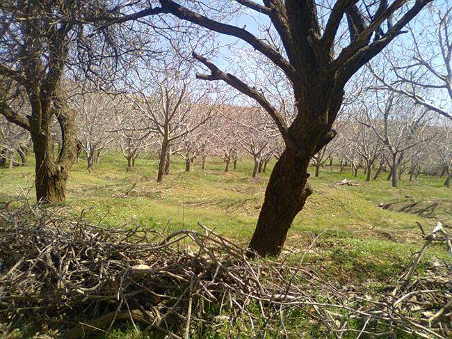 روستای سیراوند