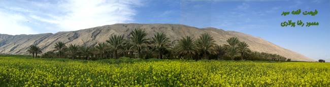 روستای قلعه سید