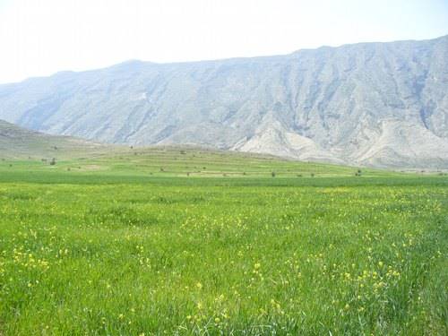 روستای گلستان(کاسکان)