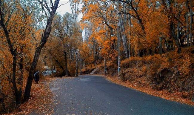 پارک جنگلی خیاو چایی