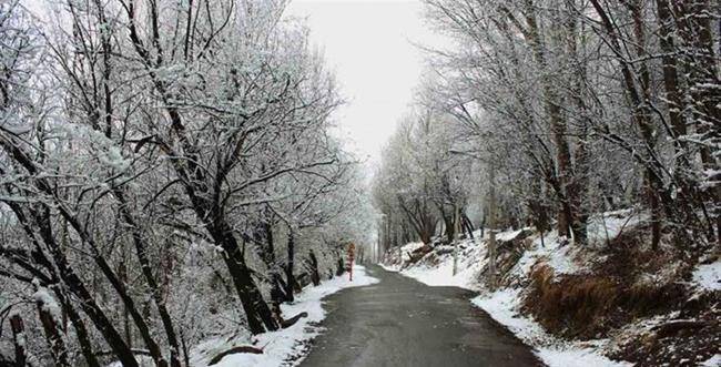 پارک جنگلی خیاو چایی