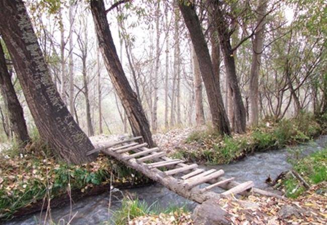 پارک جنگلی خیاو چایی