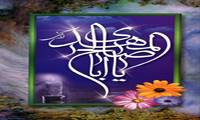 دیدن نور حضرت توسط شیخ علی دُجَیلی