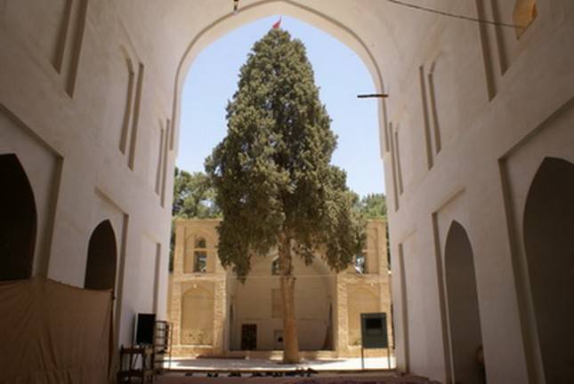 مسجد جامع نیریز