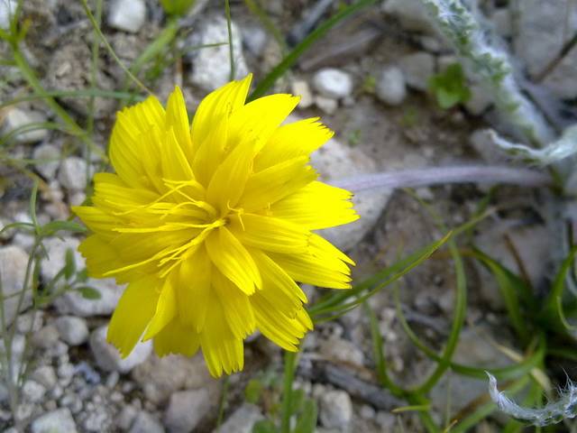 روستای احمدمحمودی