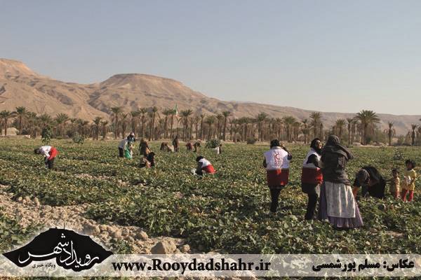 روستای زینل آباد