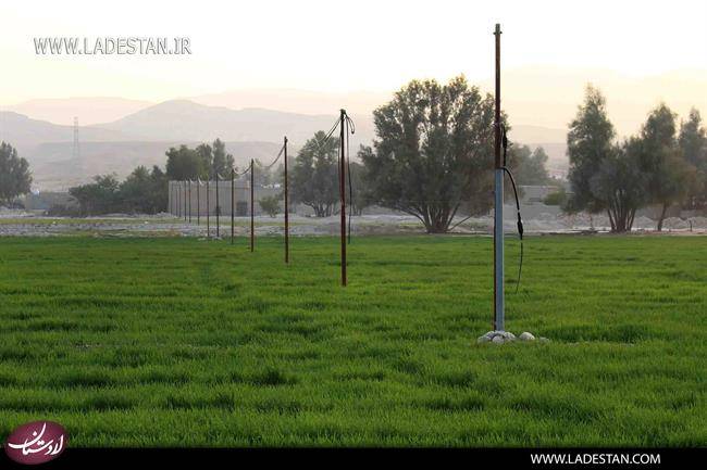 روستای محمدقاسمی