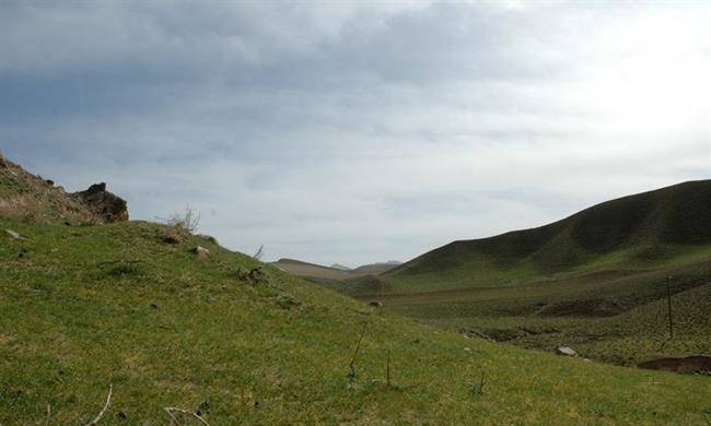 منطقه حفاظت شده گرزمی