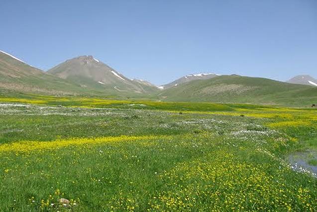 منطقه حفاظت شده چاراویماق