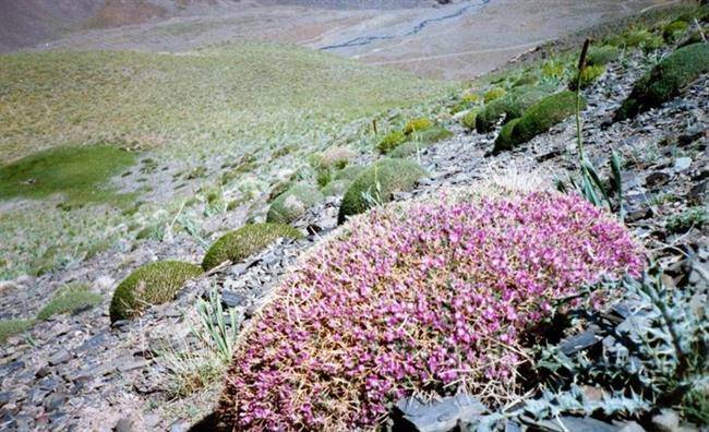 منطقه حفاظت شده بینالود