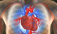 نقش روان شناسی در بهبود بیماری عروق کرونر قلبی